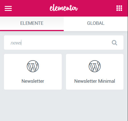 Newsletter Widget Elementor
